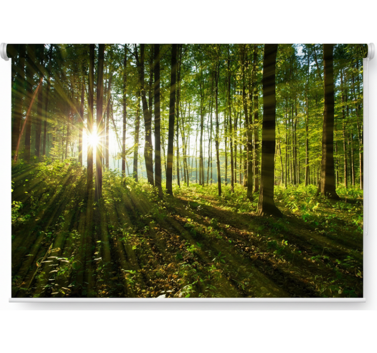 Tree blind in golden sunburst woods - TenStickers