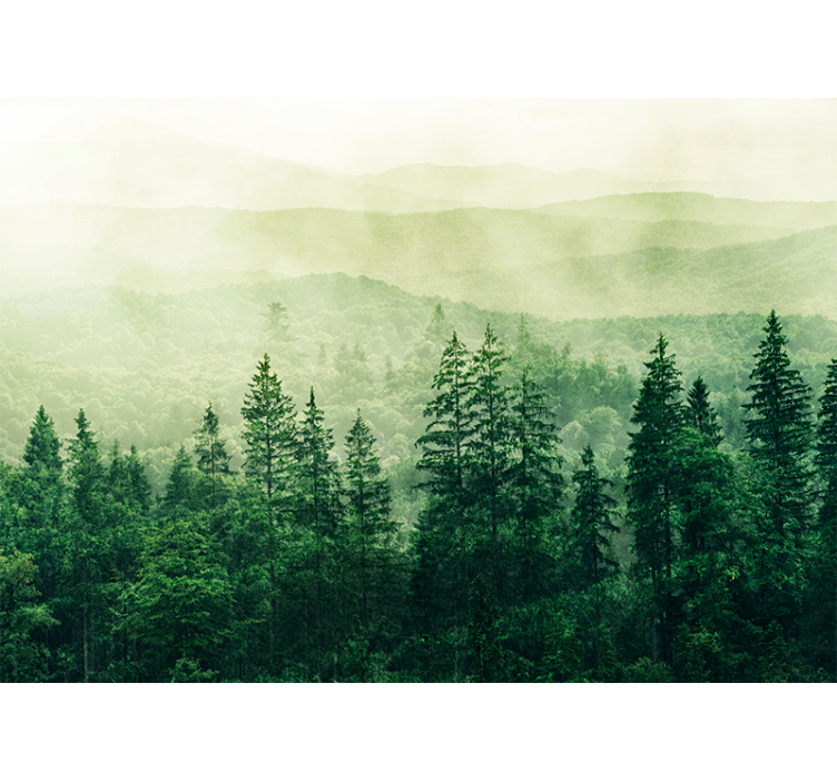 Blind kitchen green forest hill treetops - TenStickers
