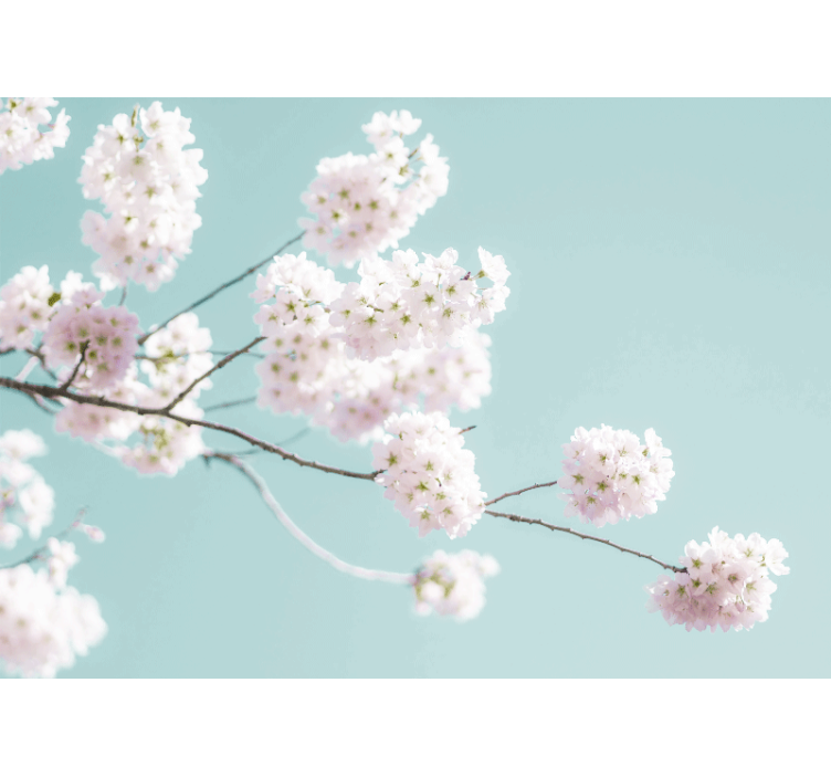 Blind kitchen elegant and feminine white flower design - TenStickers