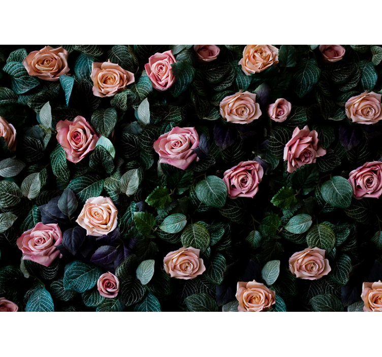Blind kitchen pink coral roses decor - TenStickers