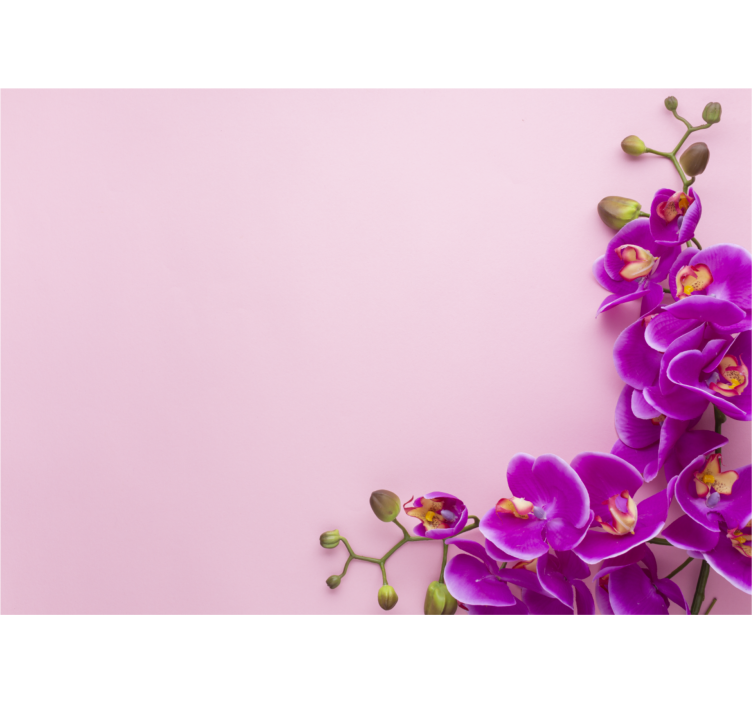 Blind kitchen pink orchid background - TenStickers