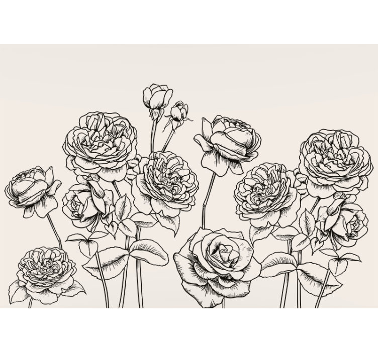 Blind kitchen black and white rose design - TenStickers