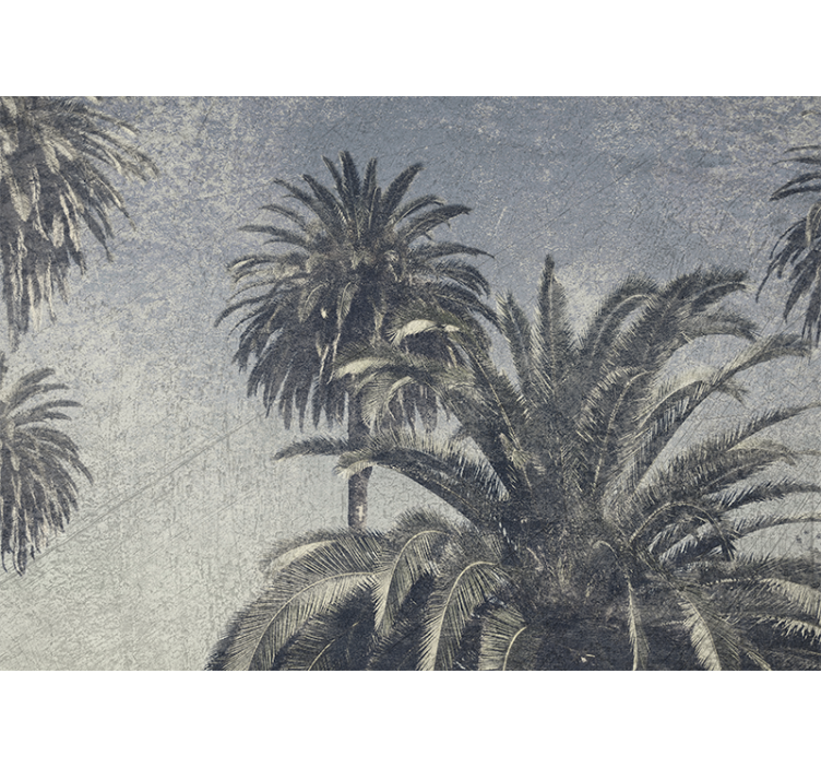 Blind kitchen gray sketch palm trees - TenStickers