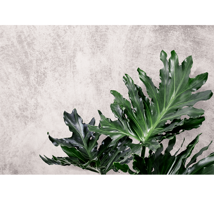 Blind kitchen with green leaves on concrete - TenStickers