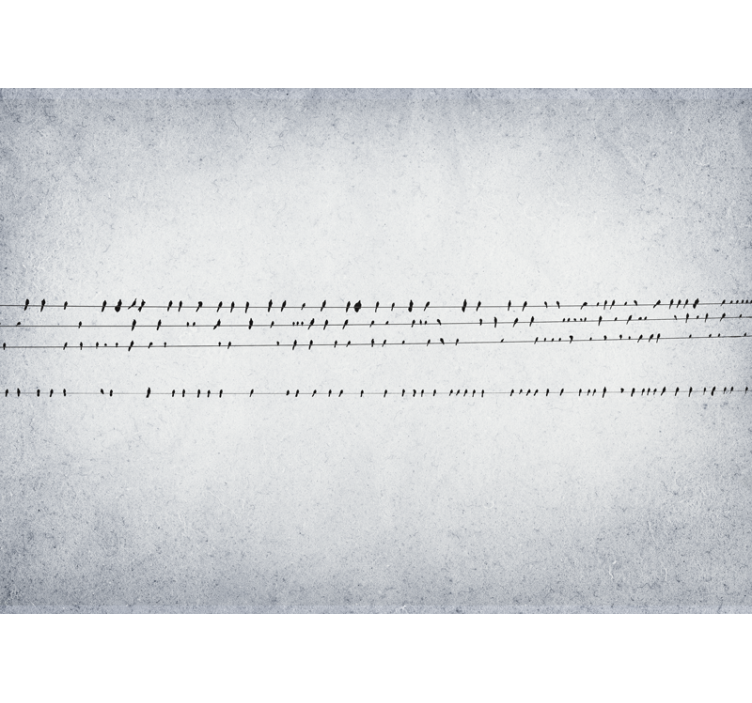 White window blind birdsong on lines - TenStickers