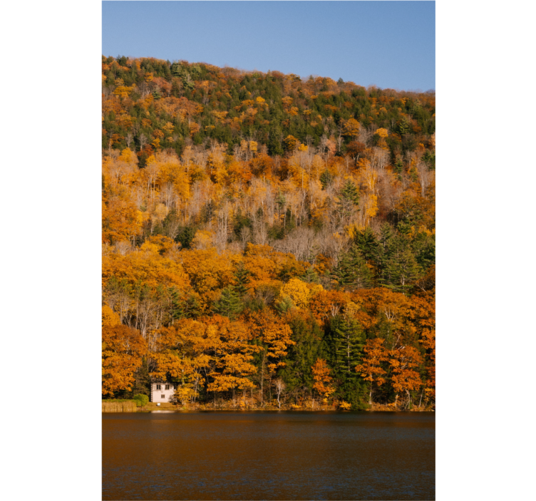 Living room blind lake and golden trees - TenStickers