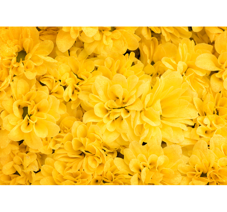 Blind yellow flower petals - TenStickers