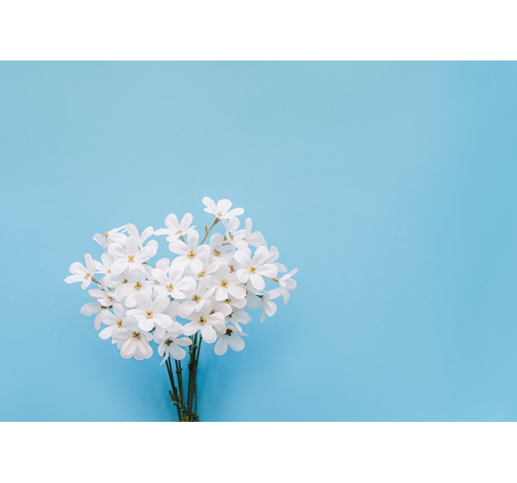 Blind blue jazmin blue background - TenStickers