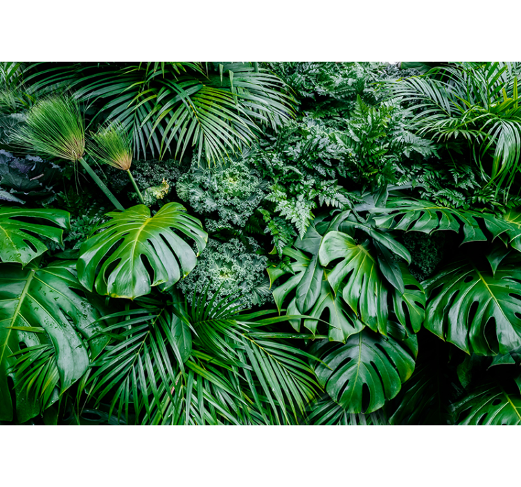 Blind green rainforest retreat - TenStickers