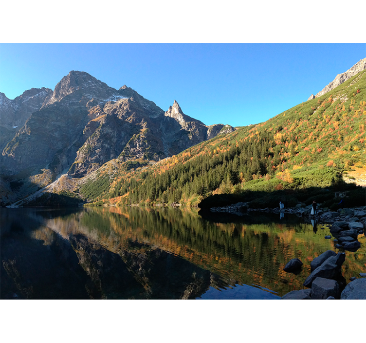 Blind green morskie oko in spring - TenStickers