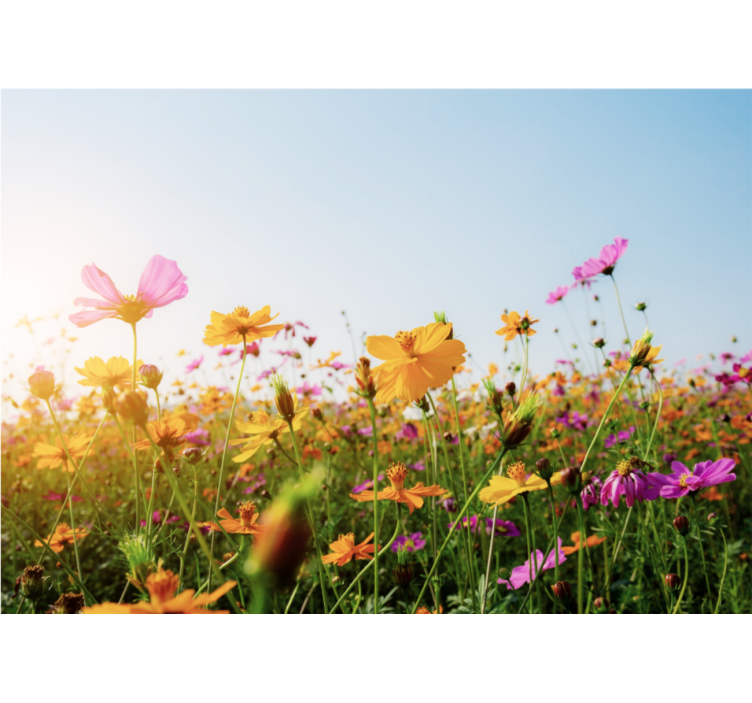 Living room blind with mixed flower designs - TenStickers