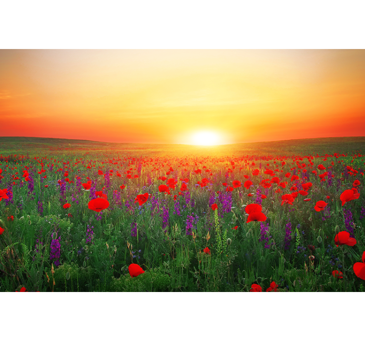 Living room blind red poppy field with sun - TenStickers