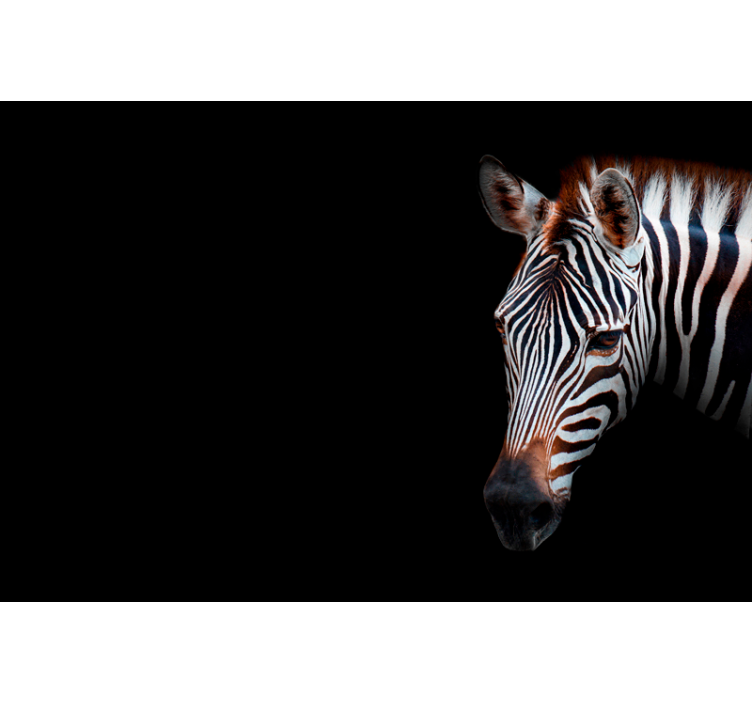 Living room blind zebra print design - TenStickers