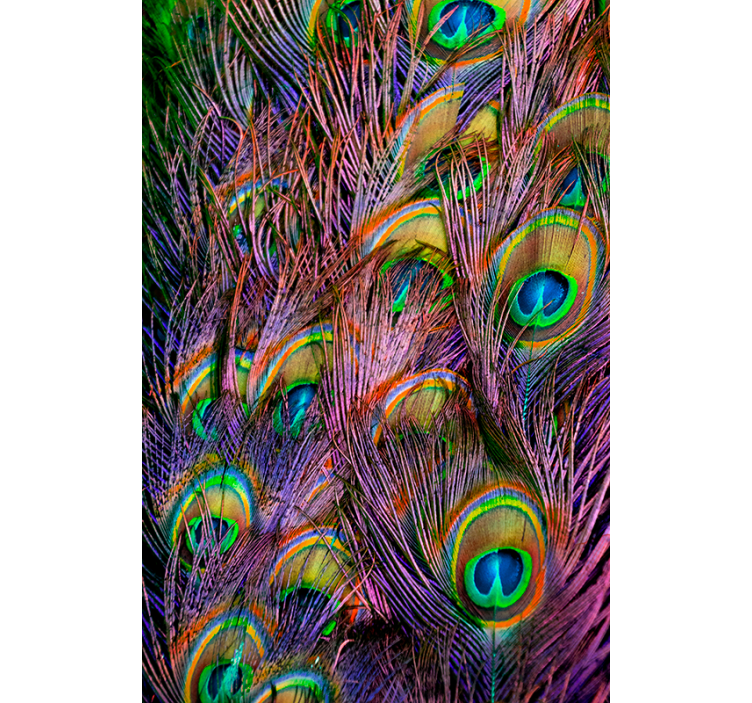 Living room blind peacock feather design - TenStickers