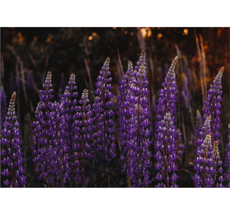 Living room blind forest revived by violet flowers - TenStickers