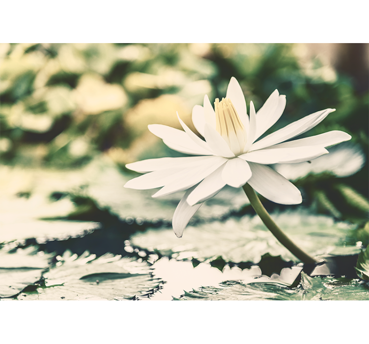 Living room blind white lotus on lake - TenStickers