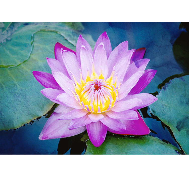 Living room blind purple lotus flower design - TenStickers