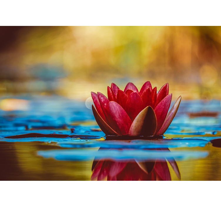Living room blind with zen reflected lotus flower - TenStickers