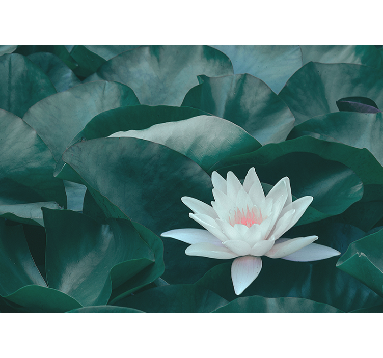 Living room blind zen white lotus flower - TenStickers