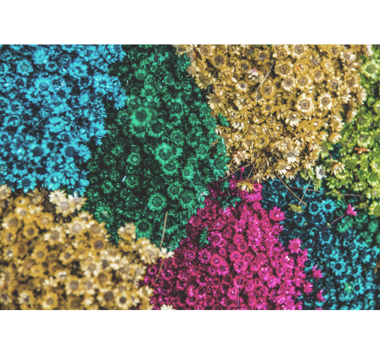 Living room blind rainbow daisies - TenStickers