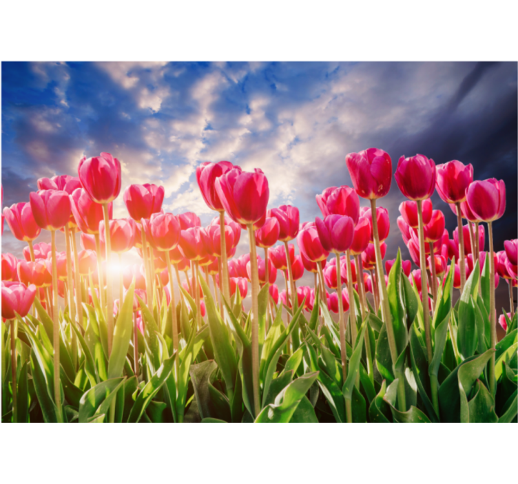 Living room blind flowery sunset design - TenStickers