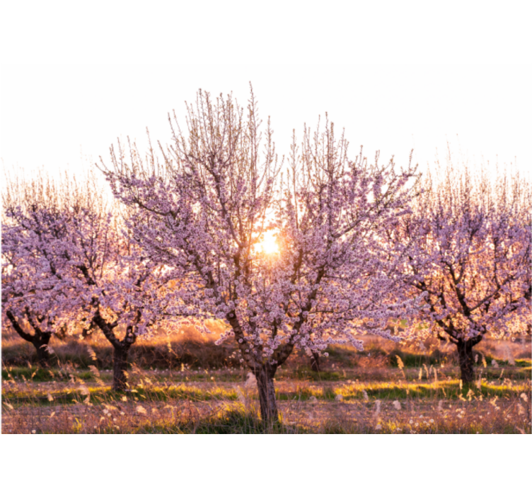 Living room blind in pink floral landscape - TenStickers