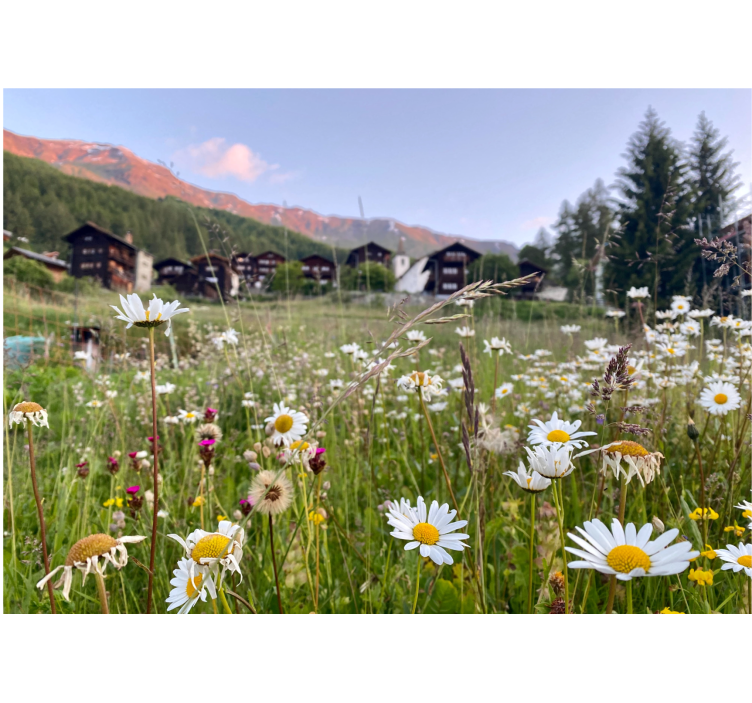 Living room blind with village flower landscape - TenStickers