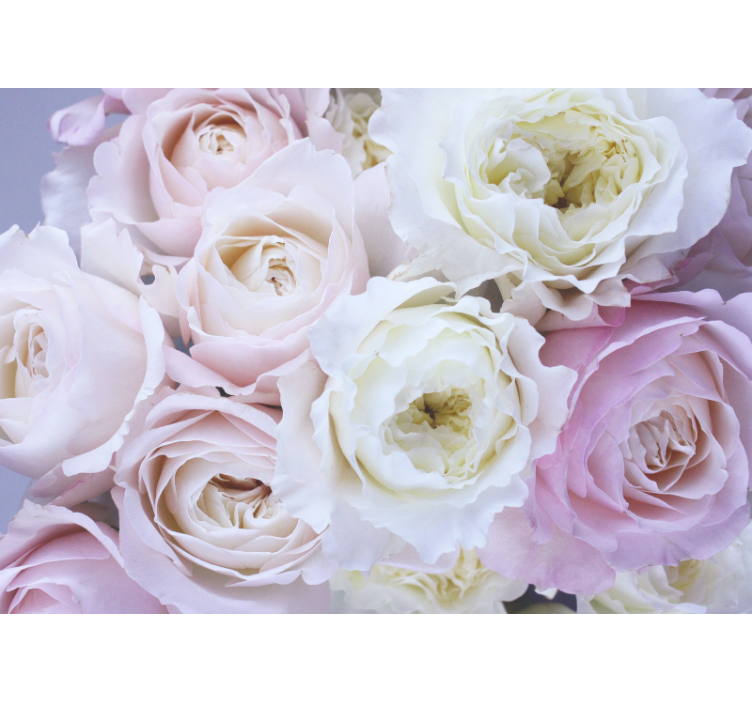 Living room blind different roses close up - TenStickers