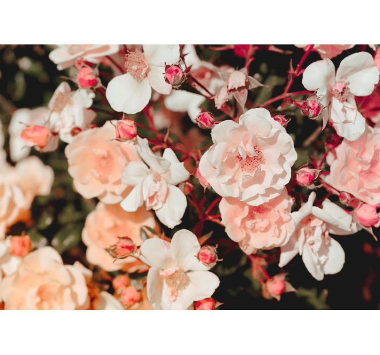 Living room blind with abundant flowers - TenStickers