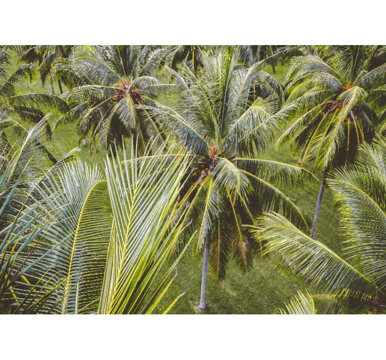 Living room blind green palm tree forest view - TenStickers