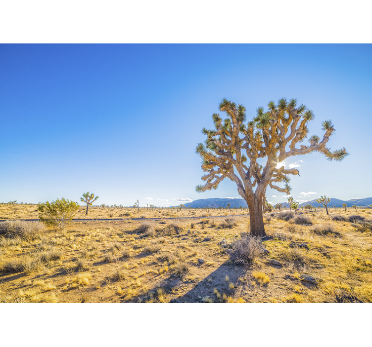 Living room blind desert design with a tree - TenStickers