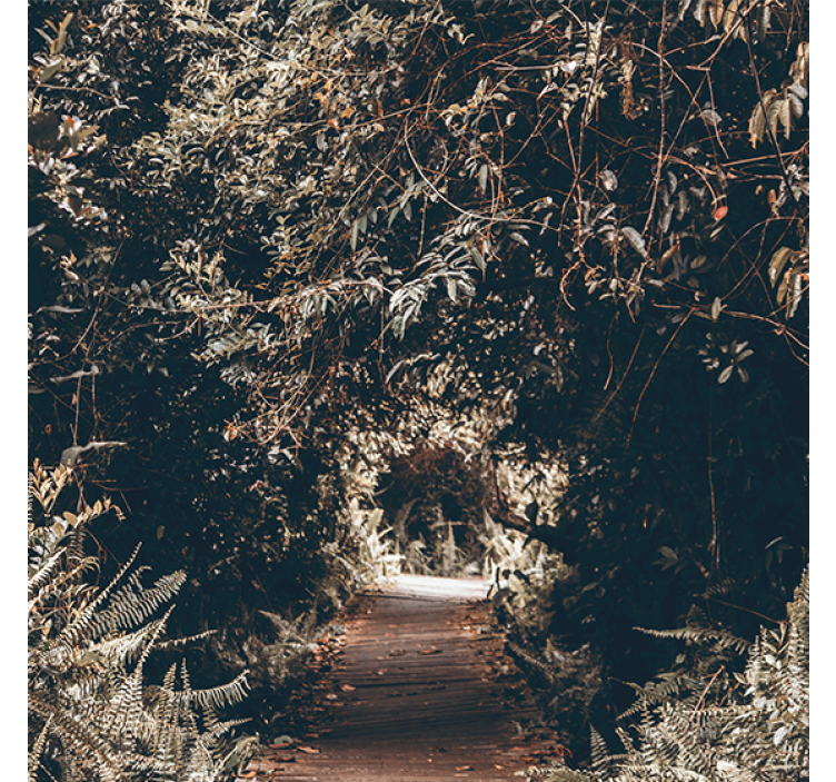 Living room blind nature tunnel to the forest - TenStickers