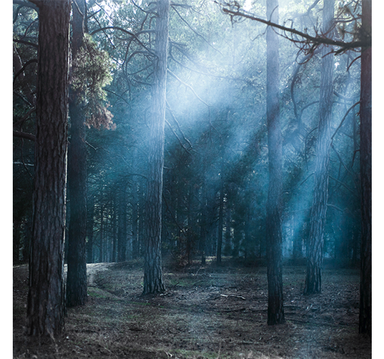 Nature dusk in the forest living room blind - TenStickers