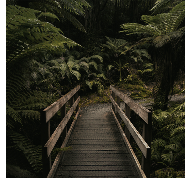 Living room blind nature bridge in the forest - TenStickers