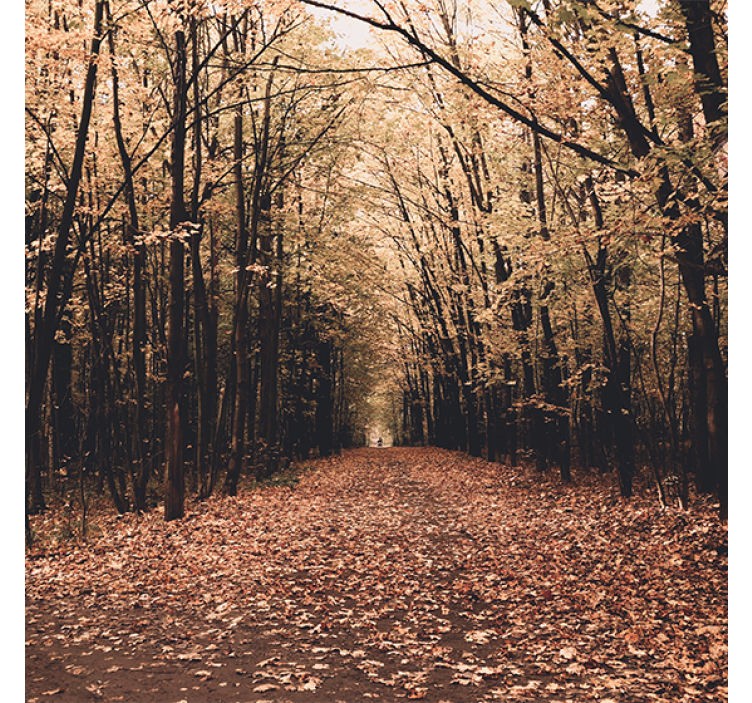 Living room blind nature's beautiful autumn forest - TenStickers