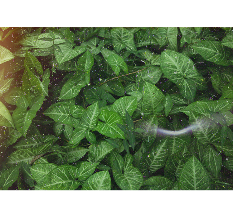 Living room blind with beautiful sunny green leaves - TenStickers