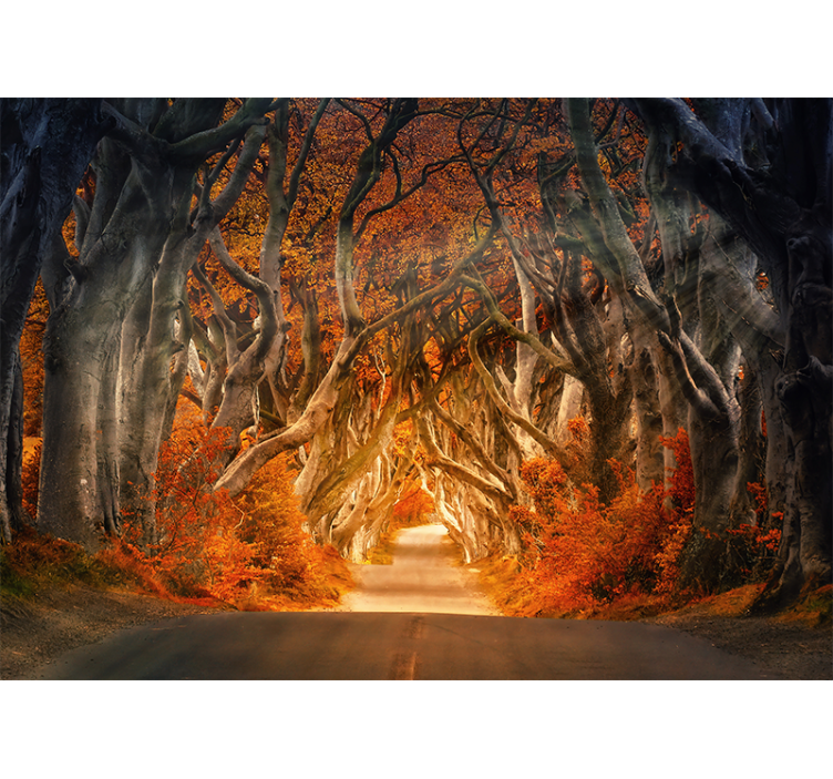 Living room blind with a beautiful forest view - TenStickers