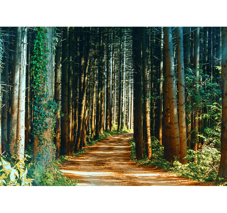 Living room blind beautiful nature path tree gate - TenStickers