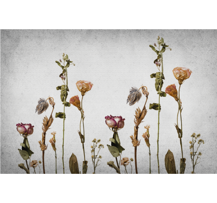 Living room blind with scandinavian style dried plants - TenStickers