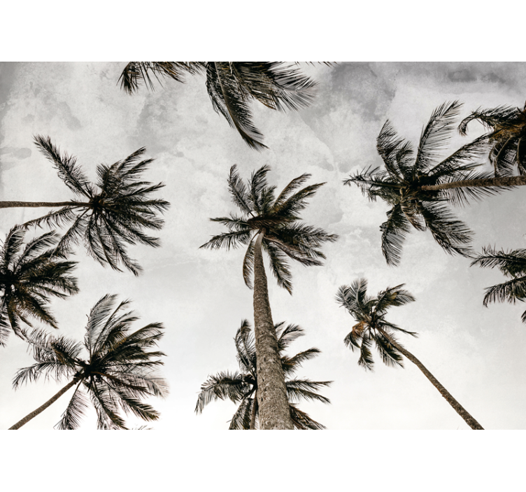 Blind grey palm trees from a low angle - TenStickers