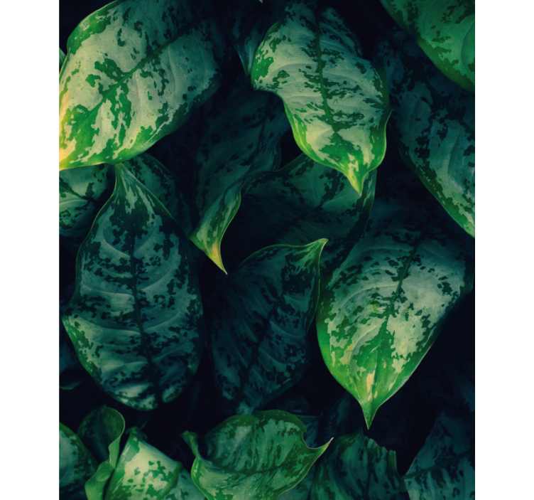 Vibrant green leaves blind flowers and plants - TenStickers