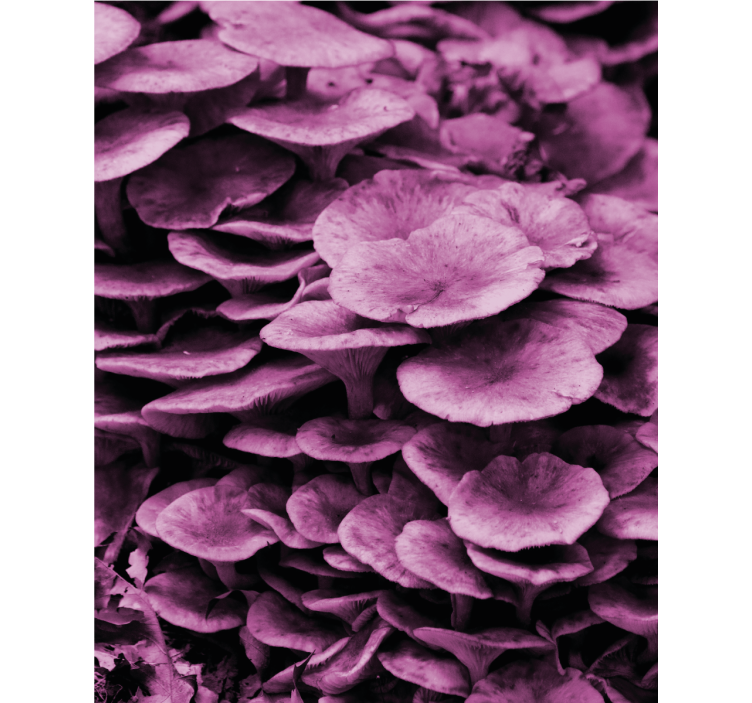 Vibrant Floral Layers blind flowers and plants - TenStickers