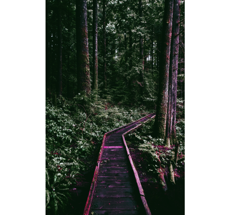 Forest Pathway tree blind - TenStickers