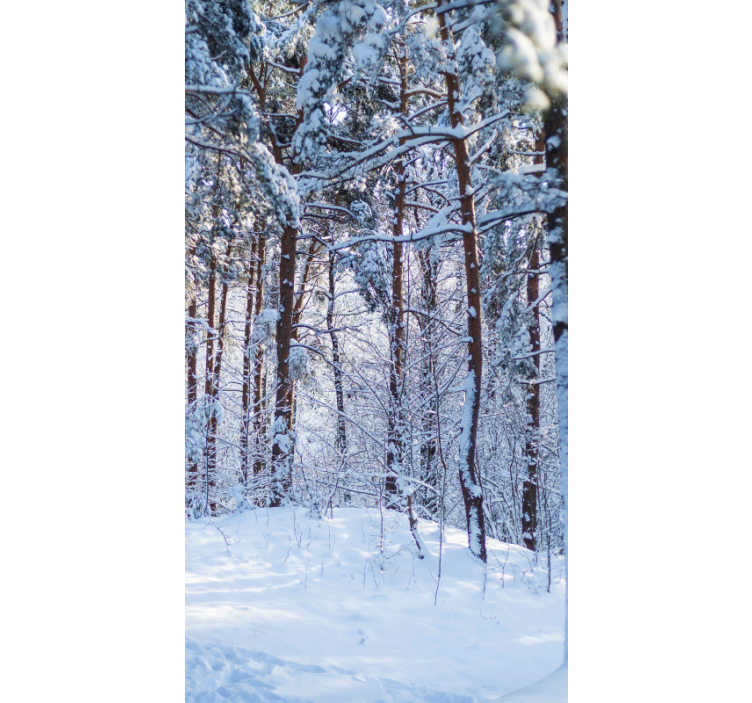 Snowy Pine Forest tree blind - TenStickers