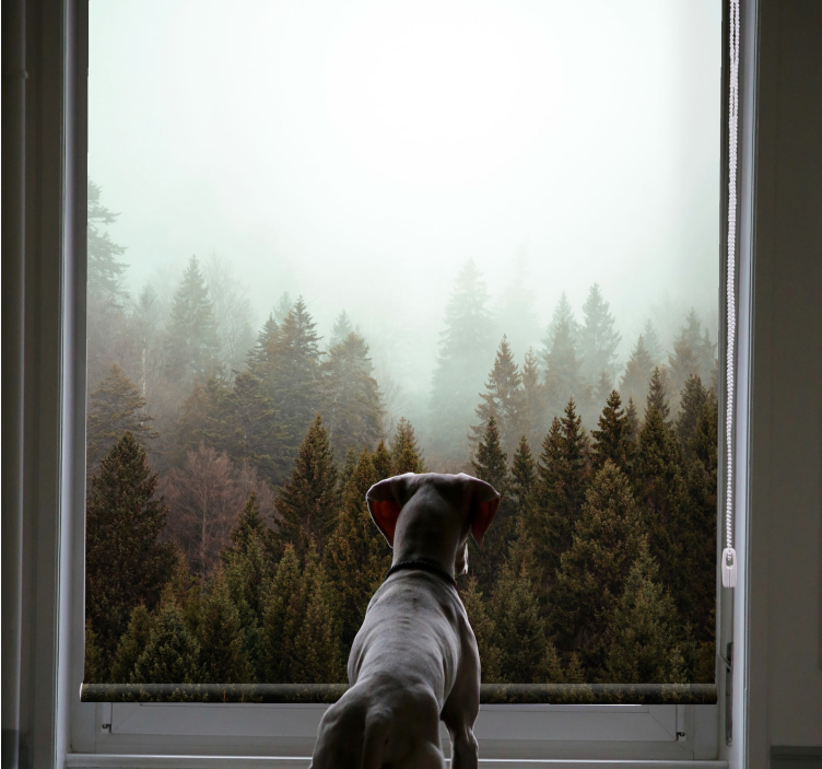 Misty Forest View tree blind - TenStickers