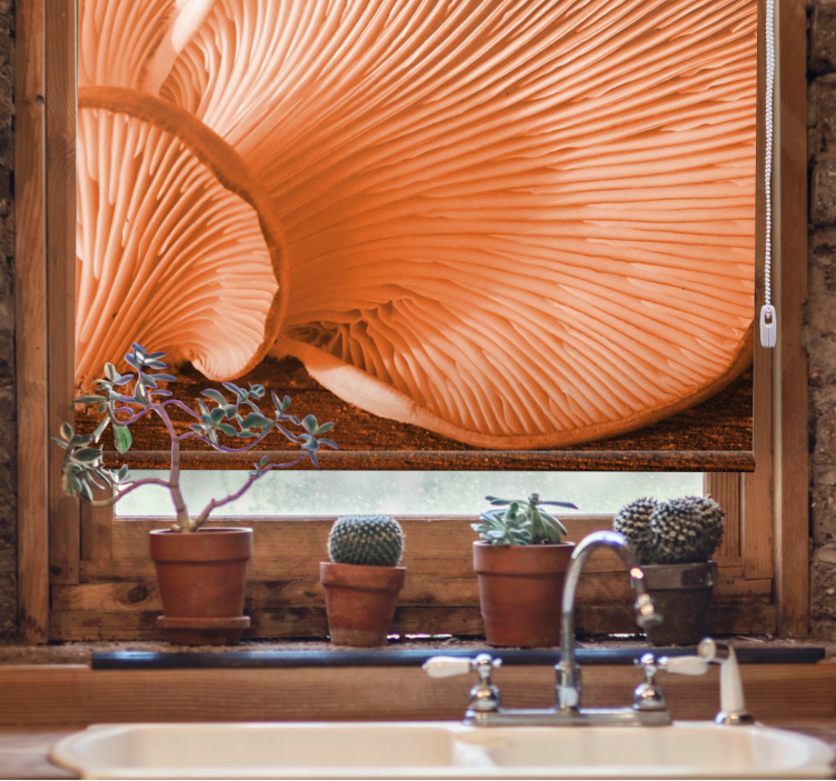 Mushroom Gills Close-Up blind fruit and vegetables - TenStickers