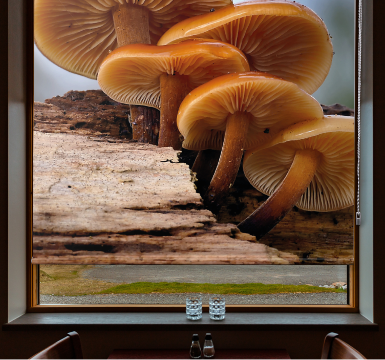 Mushroom Growth blind flowers and plants - TenStickers