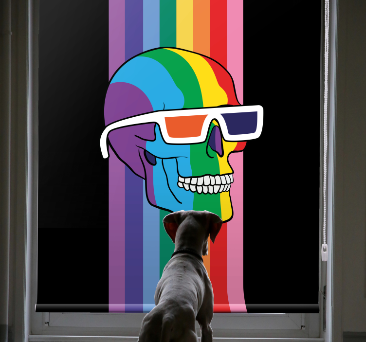 Rainbow Skull Shades blind geek - TenStickers