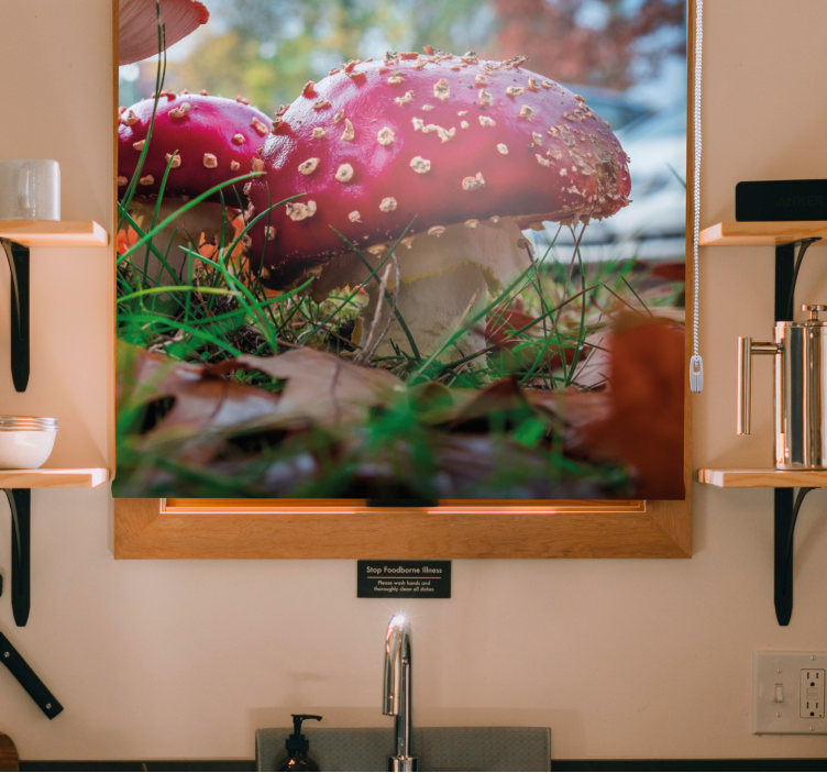 Red fly mushroom Blind painting - TenStickers