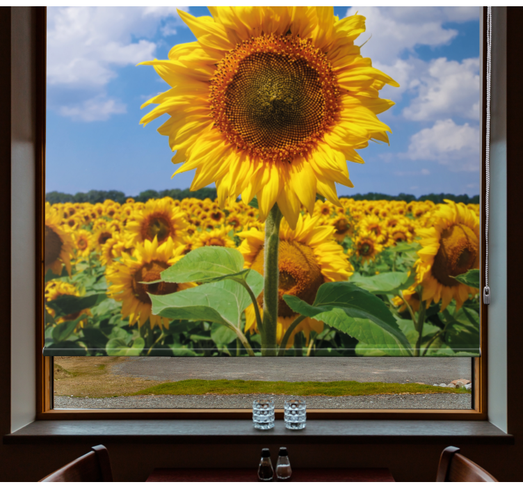 Sunflower Field Scene blind flowers and plants - TenStickers